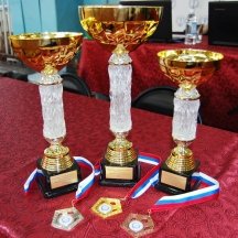 Чемпионат Сибирского Федерального округа по спортивной гимнастике среди мужчин и женщин