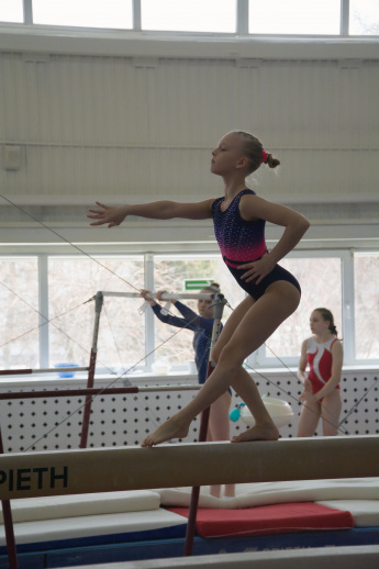 Гимнастика — один из древнейших видов спорта.