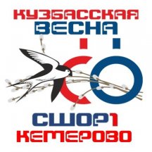 Завершились областные соревнования по спортивной гимнастике Кузбасская весна - 2019