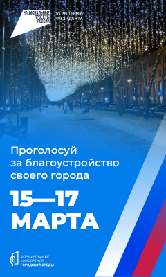 Проголосуй за благоустройство своего города!
