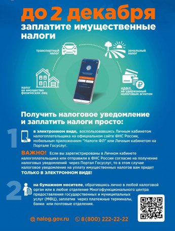 Не забудьте заплатить имущественный налог до 2 декабря!