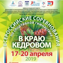В г.Северске завершились Всероссийские соревнования по спортивной гимнастике