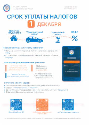 Оплати налоги до 1 декабря