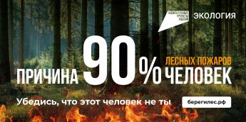 Берегите лес!